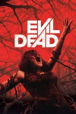 Nonton film Evil Dead (2013) terbaru