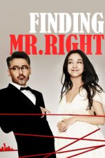 Nonton film Finding Mr. Right (2013) terbaru