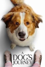 Nonton film A Dog’s Journey (2019) terbaru