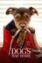 Nonton film A Dog’s Way Home (2019) terbaru